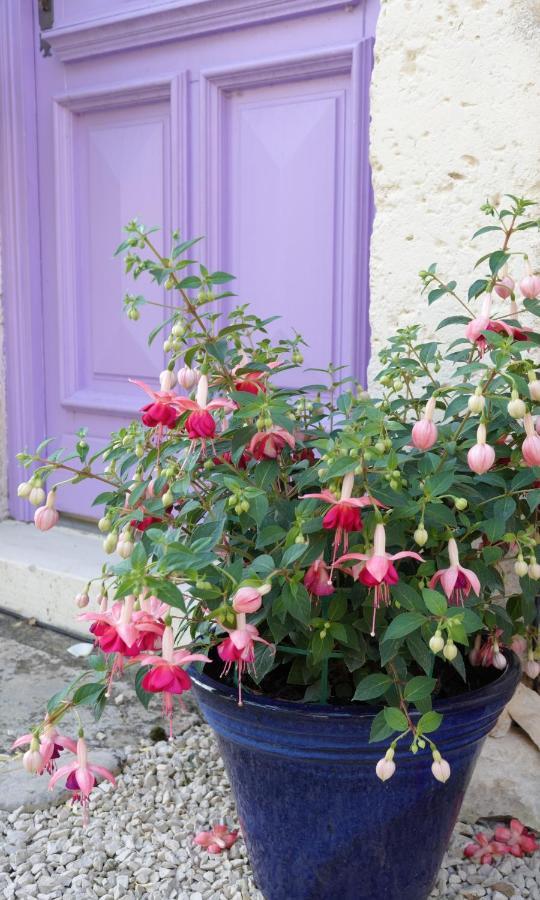 Gite Rural La Maison Mauve Ventouse Exterior foto